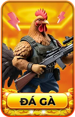 đá gà 789win