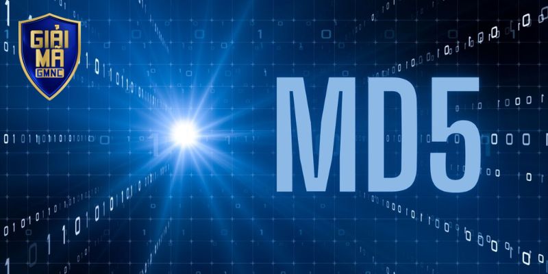Giải Mã MD5 - Ứng Dụng Của Công Nghệ Trong Giám Sát Kết Quả 